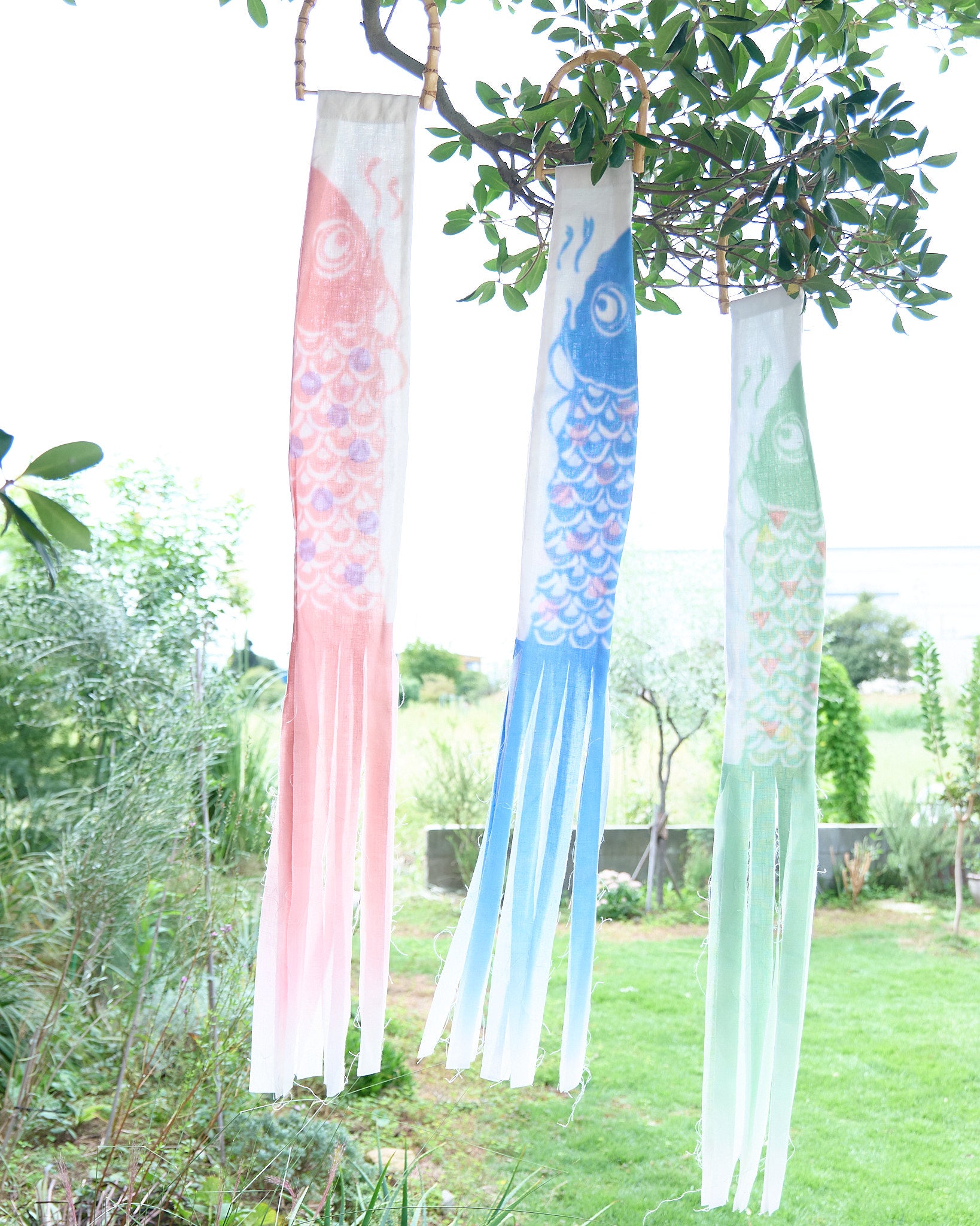 こいのぼり pistacho 淡いグリーン