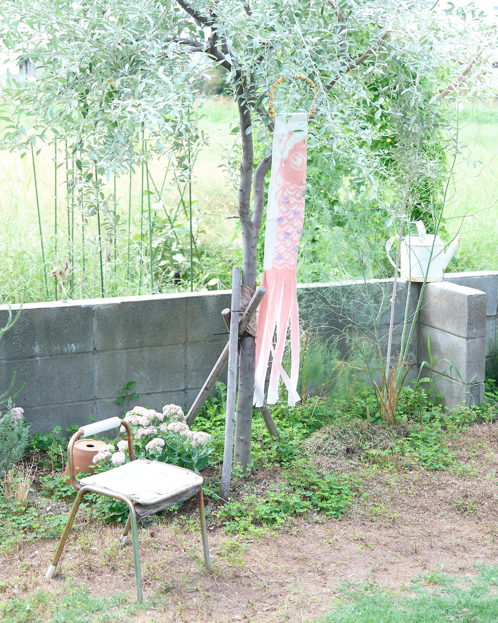 こいのぼり salmon ピンク