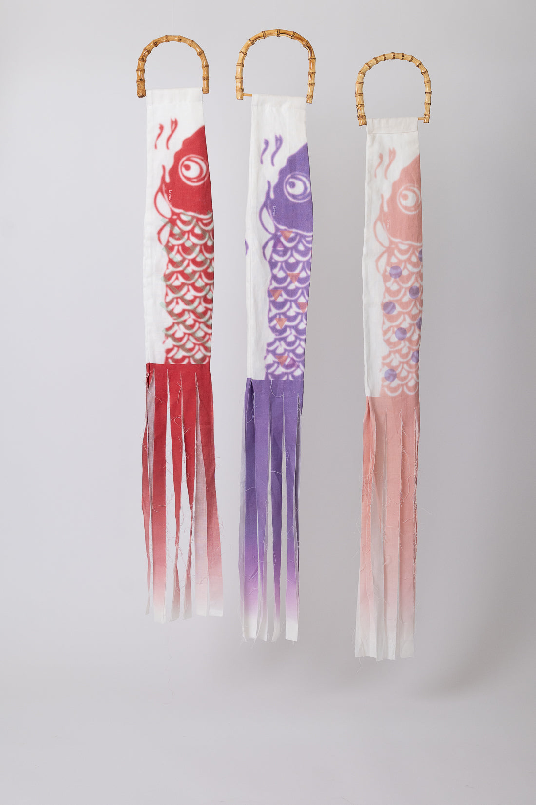 こいのぼり salmon ピンク